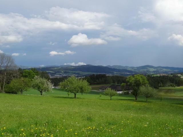 Desl'S Little Farm Waldburg Exterior foto