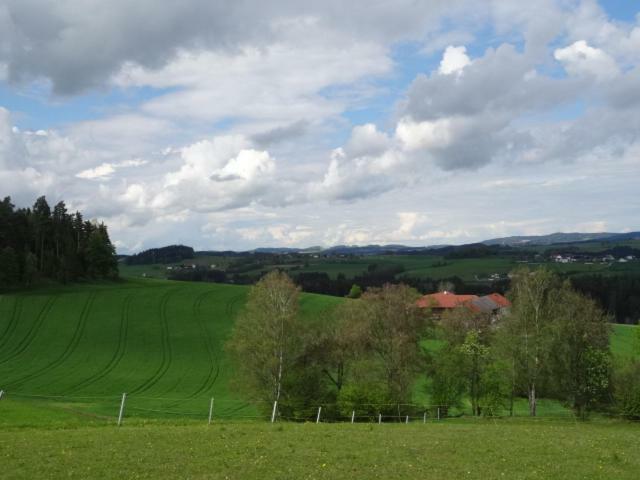 Desl'S Little Farm Waldburg Exterior foto